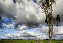 哈哈体育：广州南沙队夺冠  船员冀通过帆船比赛带动更多人感受大海魅力.