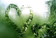 哈哈体育：世体：巴萨曾想在21-22赛季签阿尔瓦雷斯，但最终选择了费兰.