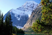 哈哈体育：马云这回说了大实话!工业生产实現智能化,下岗职工的出路在何方？.