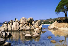 阿根廷公布亞洲行大名單 梅西領銜出征澳大利亞，印度尼西亞.